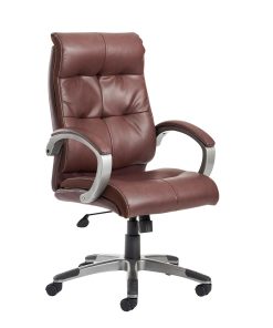 Luxurious Leather Chairs