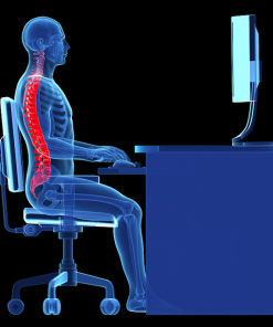 Posture and Back Care Chairs